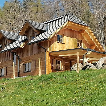 Laerchenhaus ,,Unterer Brodl" Villa Sankt Peter am Kammersberg Ngoại thất bức ảnh