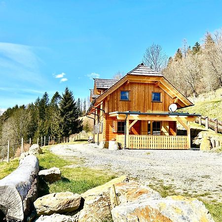 Laerchenhaus ,,Unterer Brodl" Villa Sankt Peter am Kammersberg Ngoại thất bức ảnh