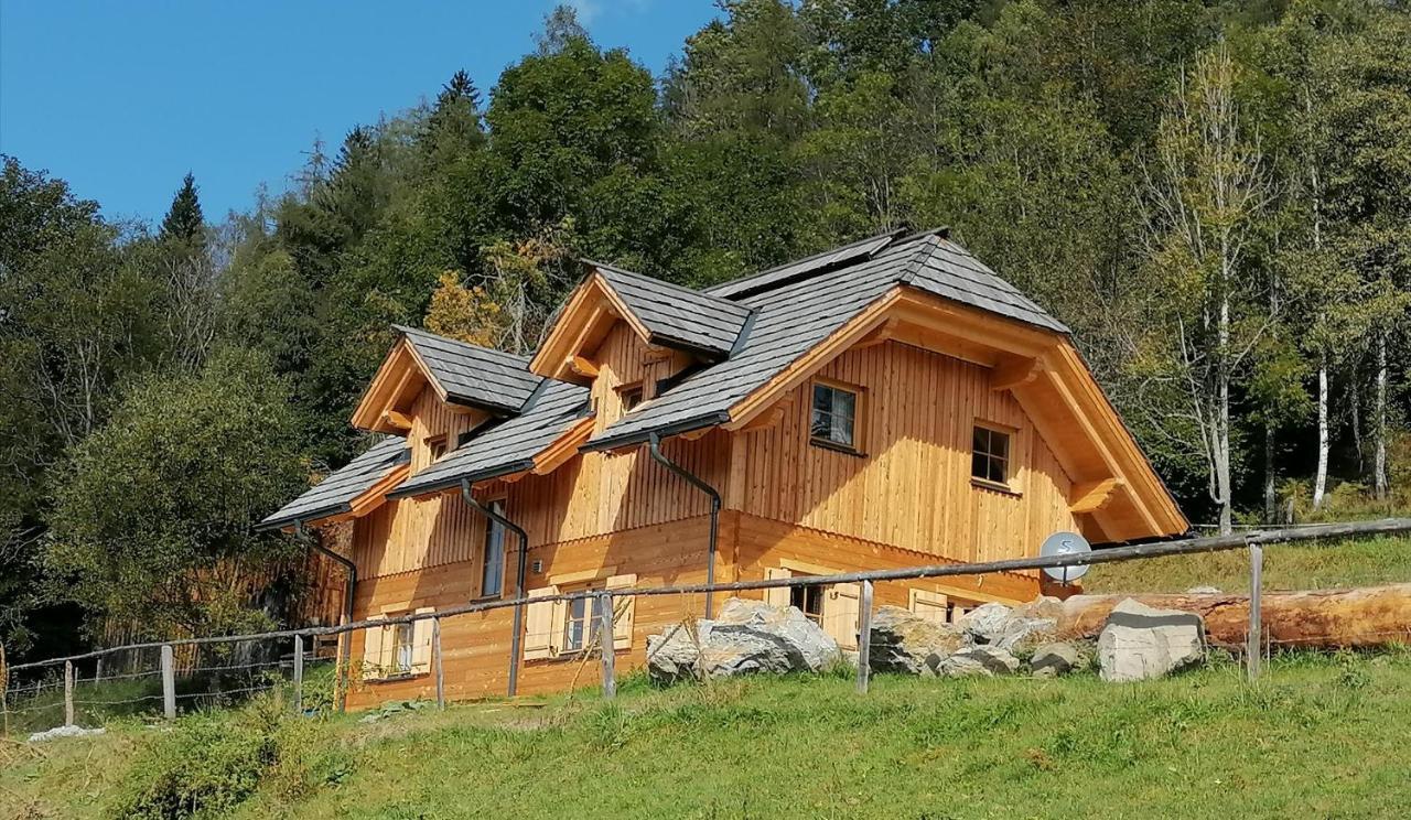 Laerchenhaus ,,Unterer Brodl" Villa Sankt Peter am Kammersberg Ngoại thất bức ảnh