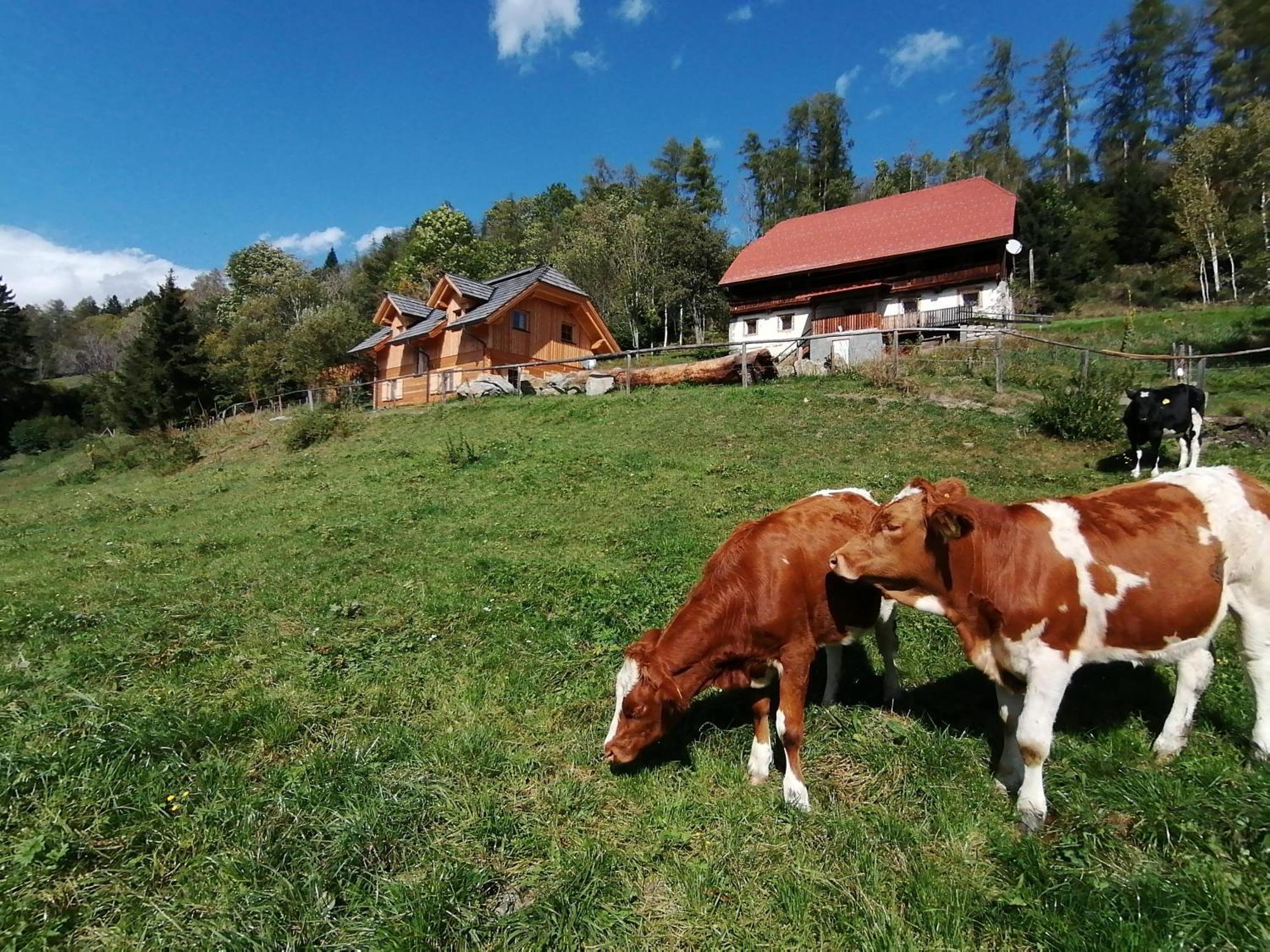 Laerchenhaus ,,Unterer Brodl" Villa Sankt Peter am Kammersberg Ngoại thất bức ảnh