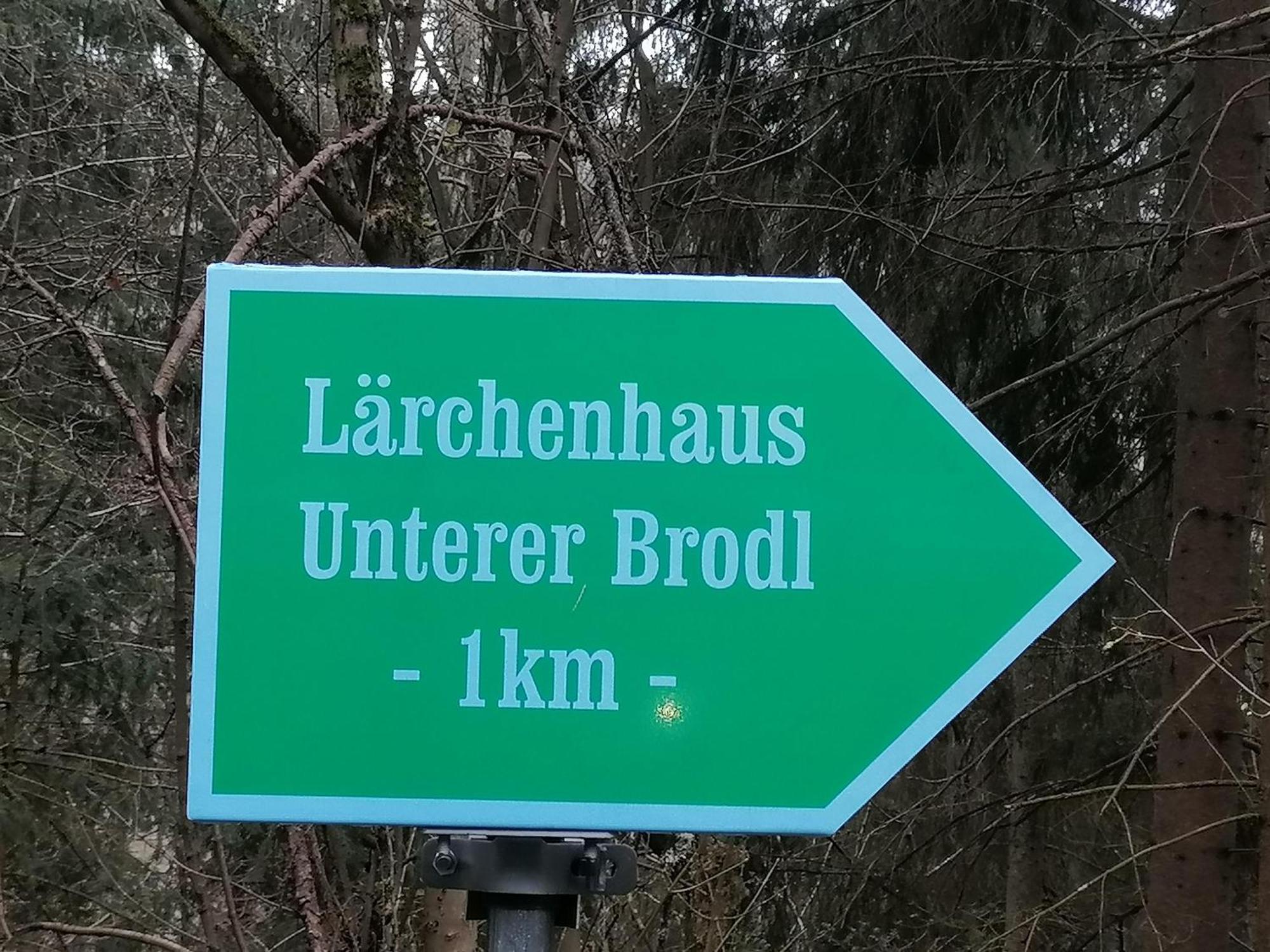 Laerchenhaus ,,Unterer Brodl" Villa Sankt Peter am Kammersberg Ngoại thất bức ảnh