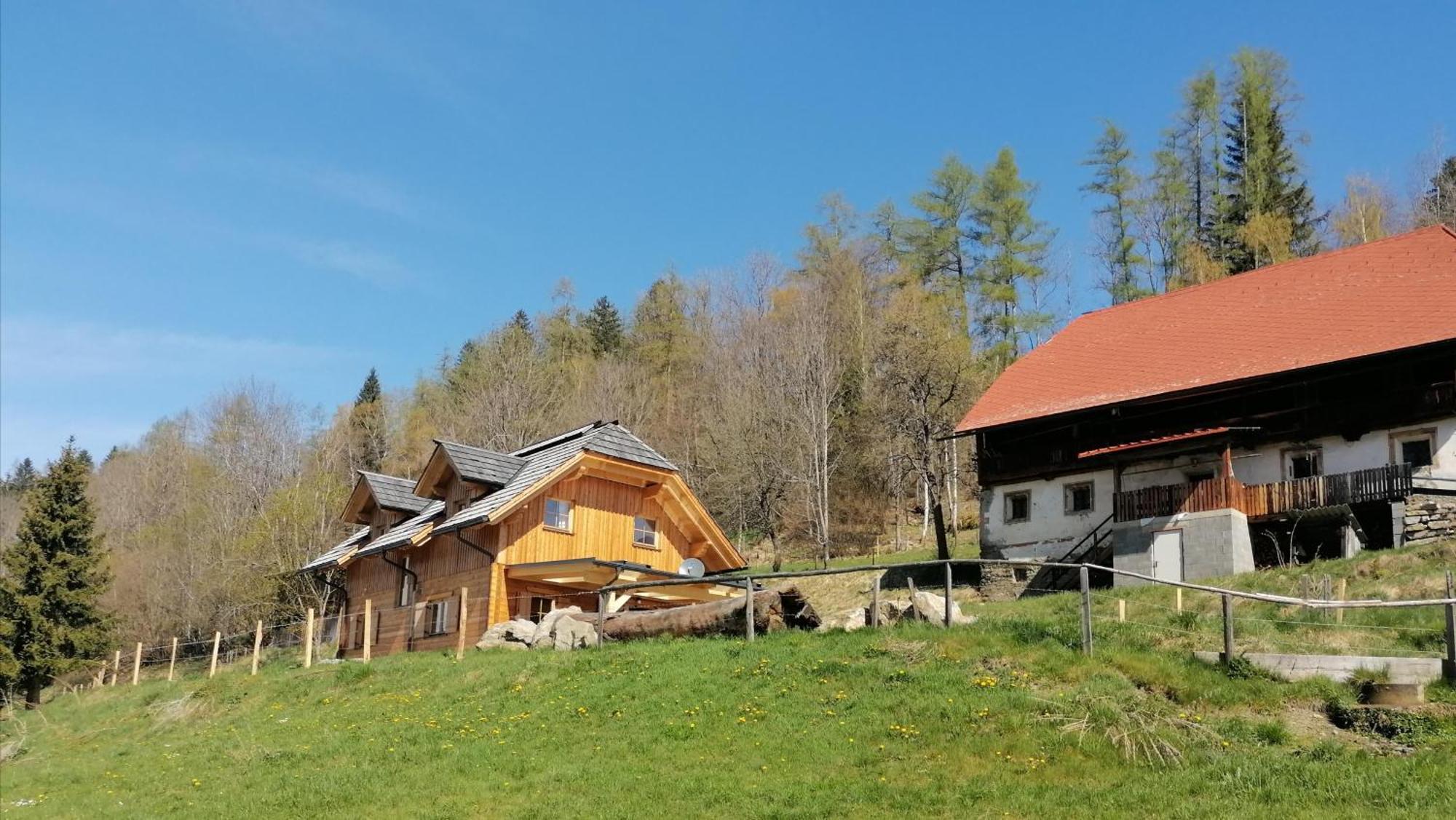 Laerchenhaus ,,Unterer Brodl" Villa Sankt Peter am Kammersberg Ngoại thất bức ảnh
