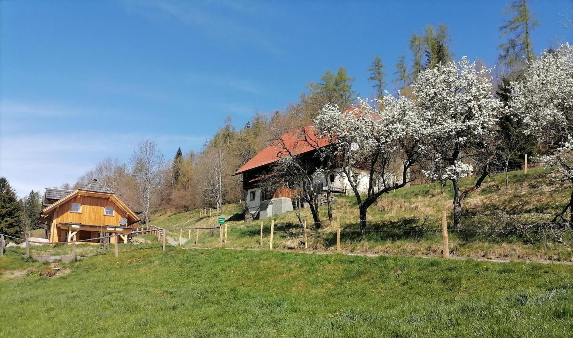 Laerchenhaus ,,Unterer Brodl" Villa Sankt Peter am Kammersberg Ngoại thất bức ảnh