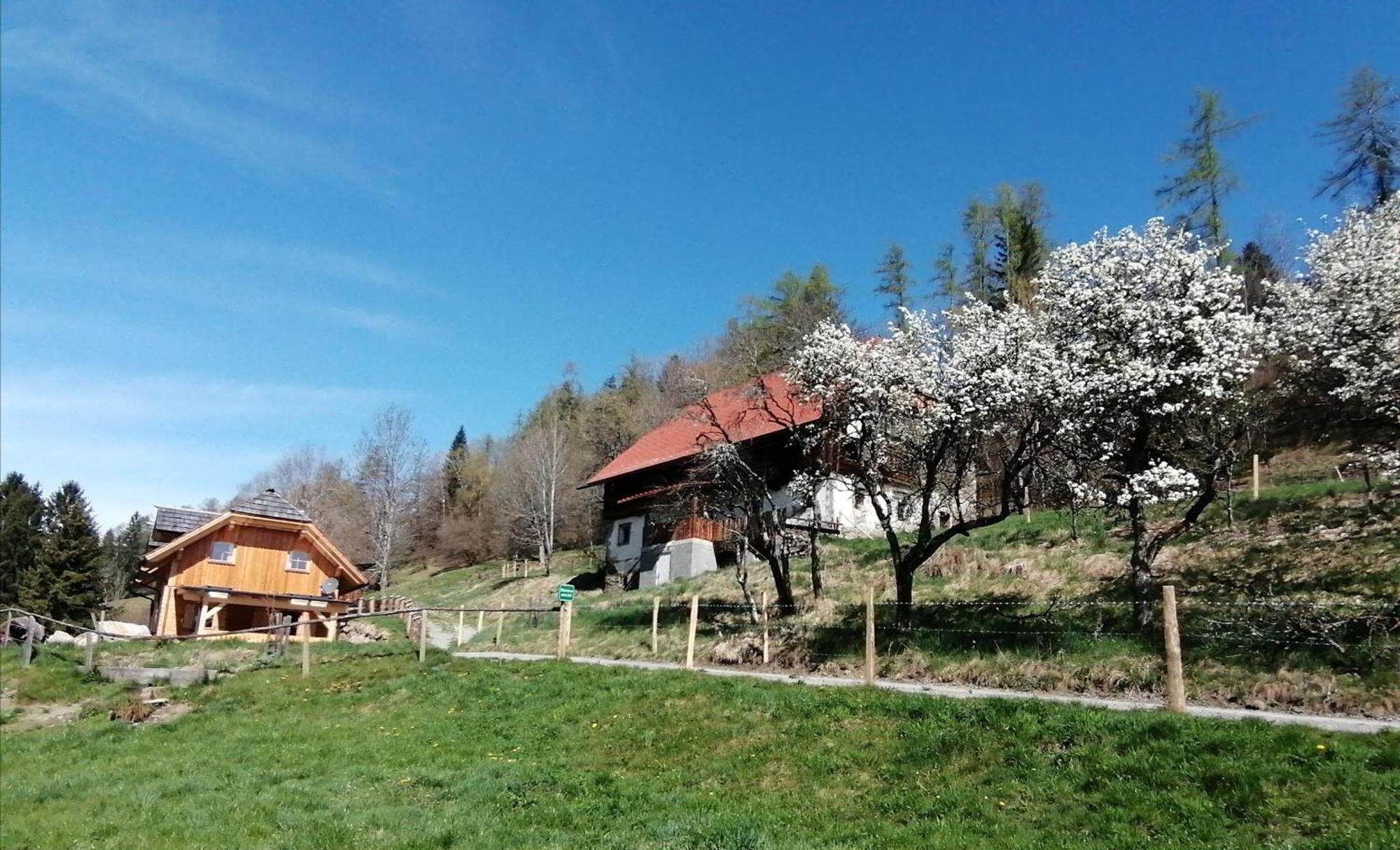 Laerchenhaus ,,Unterer Brodl" Villa Sankt Peter am Kammersberg Ngoại thất bức ảnh
