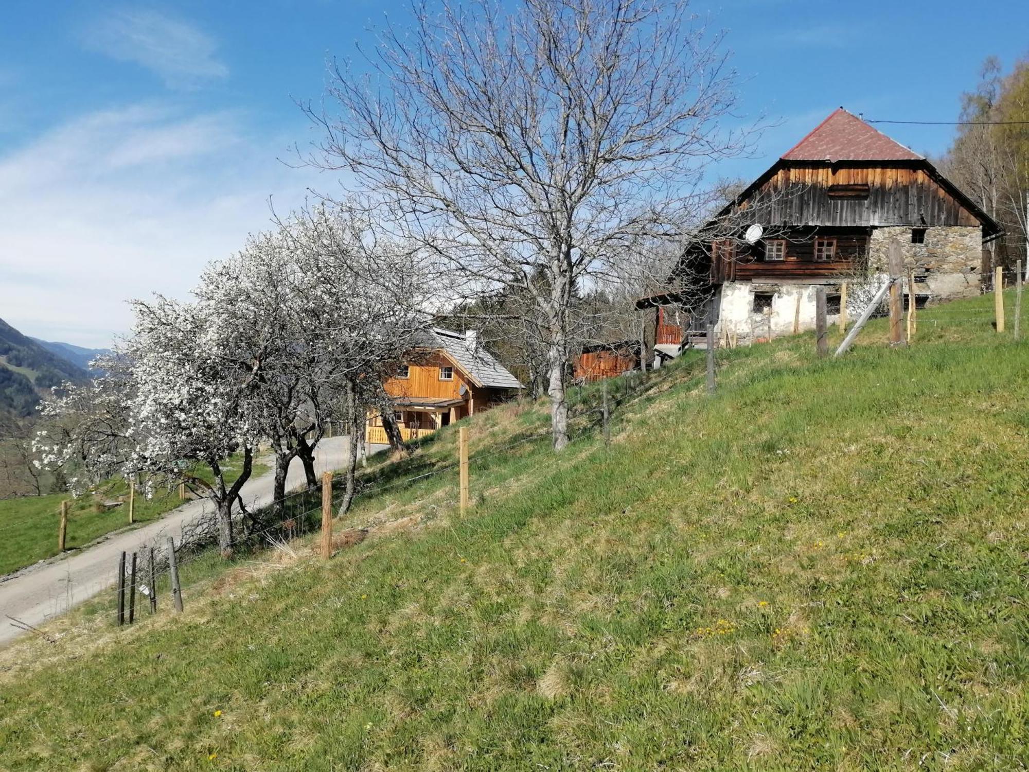 Laerchenhaus ,,Unterer Brodl" Villa Sankt Peter am Kammersberg Ngoại thất bức ảnh