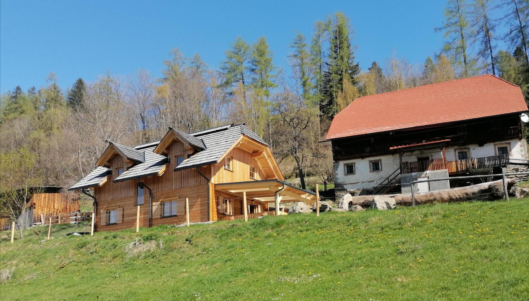 Laerchenhaus ,,Unterer Brodl" Villa Sankt Peter am Kammersberg Ngoại thất bức ảnh