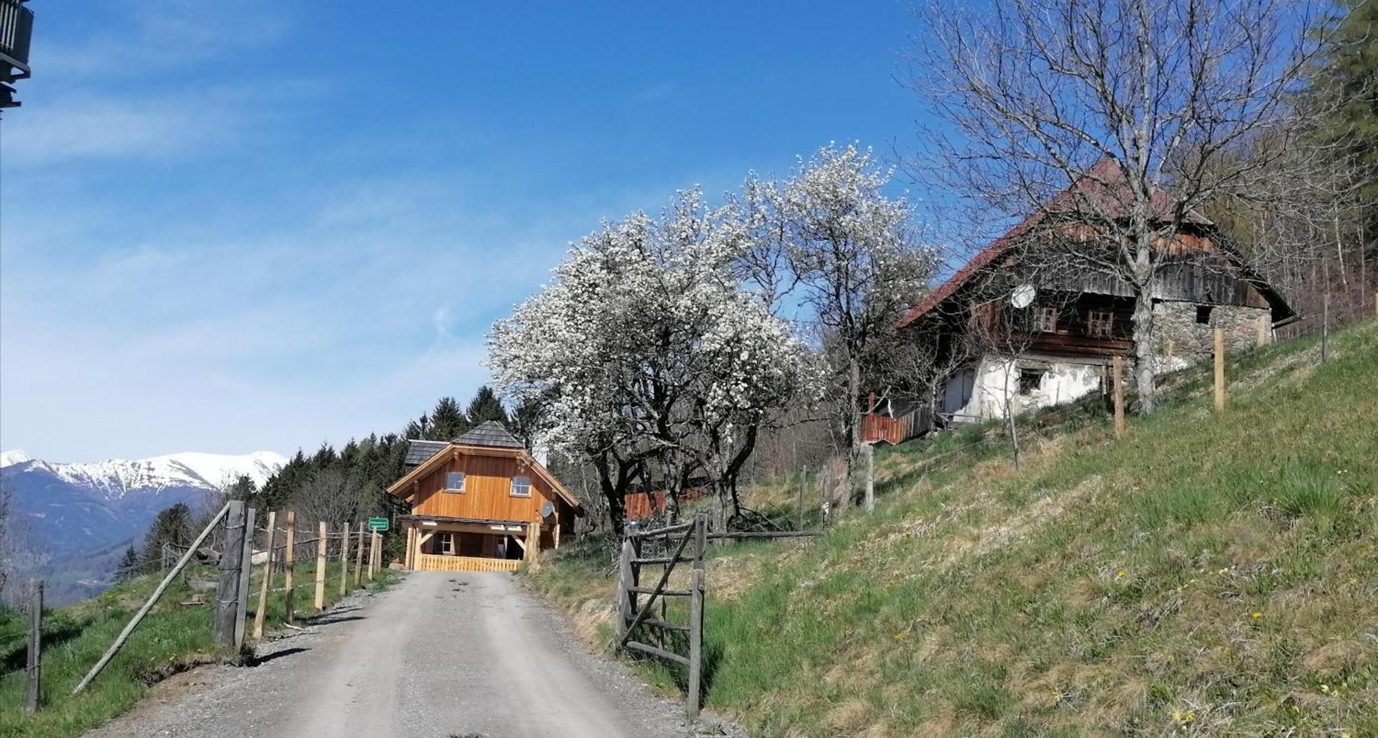 Laerchenhaus ,,Unterer Brodl" Villa Sankt Peter am Kammersberg Ngoại thất bức ảnh